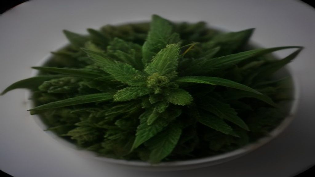 Recreational Cannabis in Columbus, Ohio: What New Shoppers Should Know