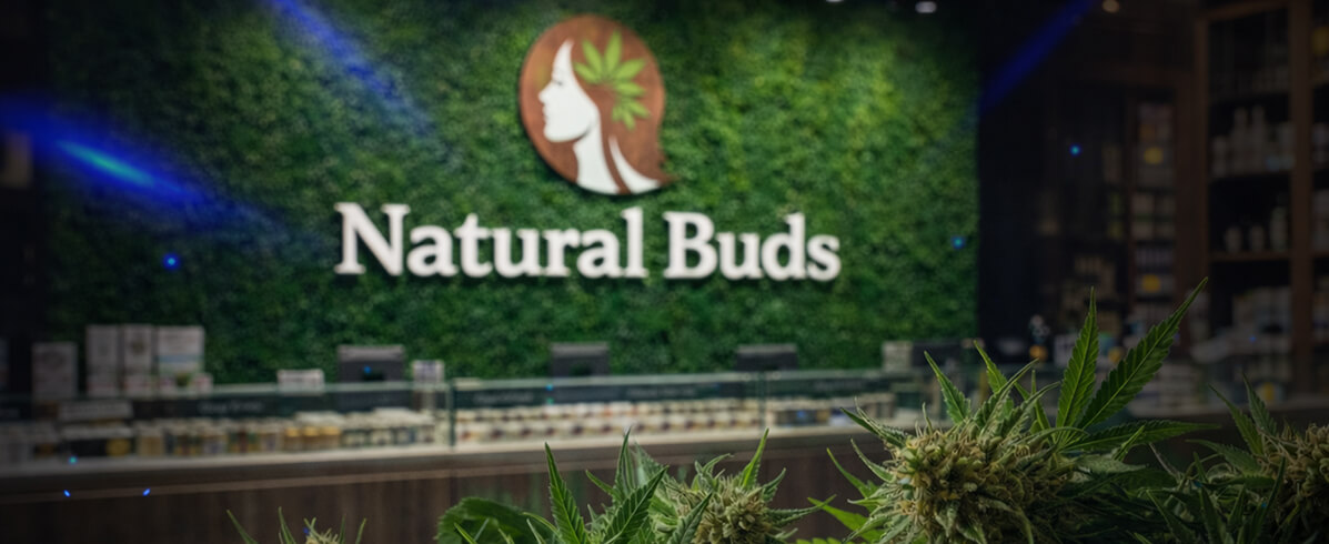 Natural Buds cover photo