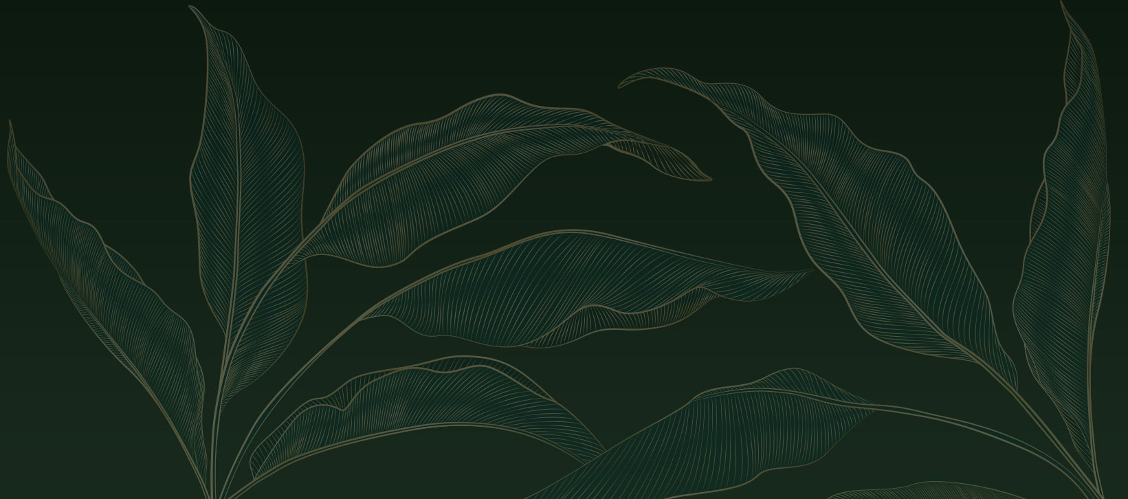 Gynsyng Dispensary & Lounge cover photo