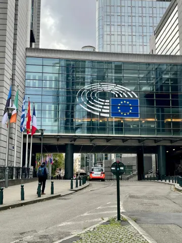 European Cannabis Legalization Timeline: Where the Continent Stands in 2026